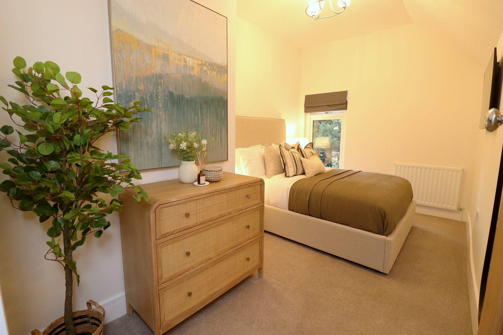 Oak chest, fig tree and canvas